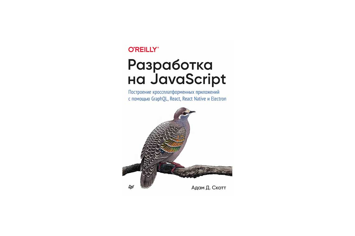  Разработка на JavaScript. Книга, обложка
