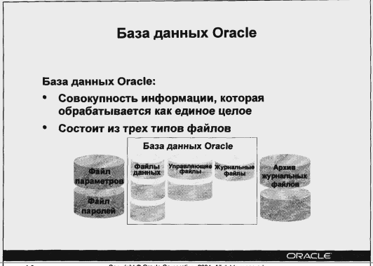 База данных Oracle - элементы